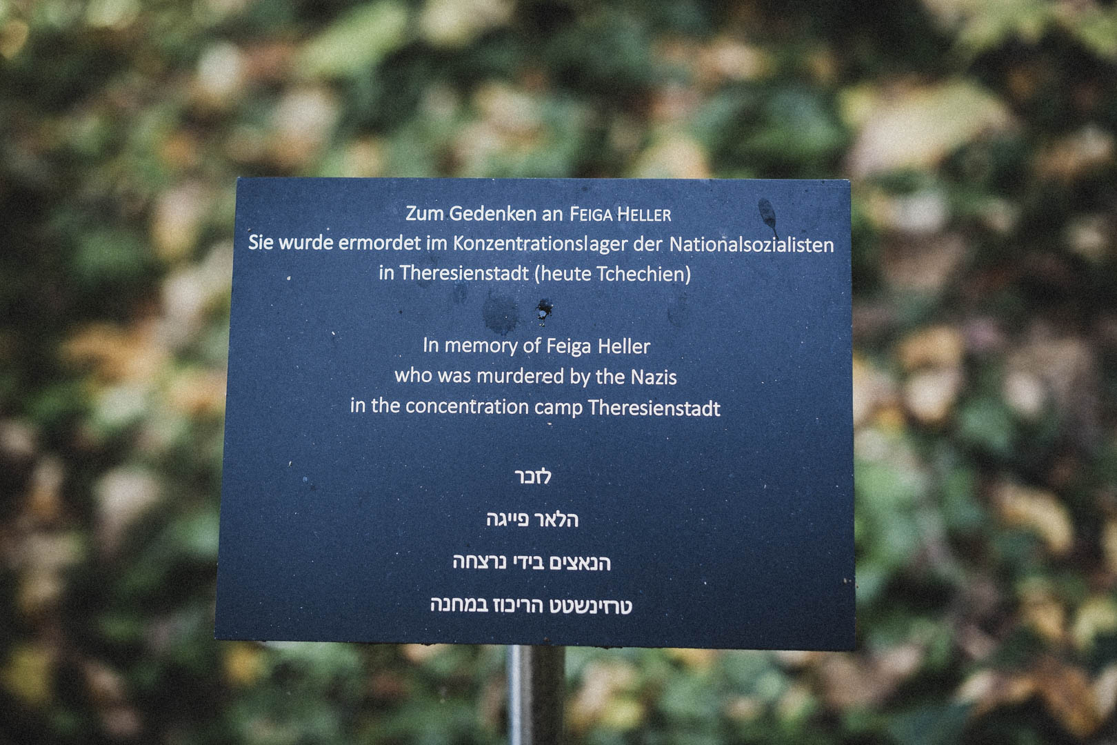 Schortens-Heidmühle, Jüdischer Friedhof